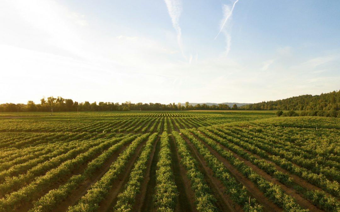 Special Initiatives Helping Farmers