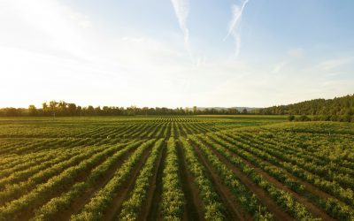 Special Initiatives Helping Farmers