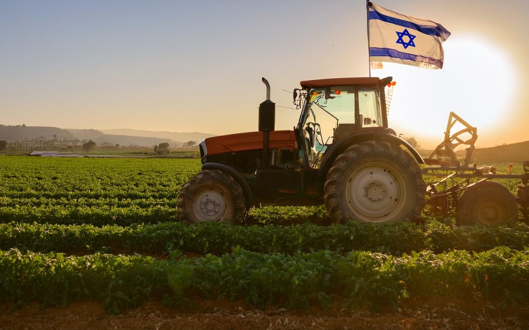 Leket 2025 Annual Report