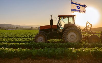 Leket 2025 Annual Report